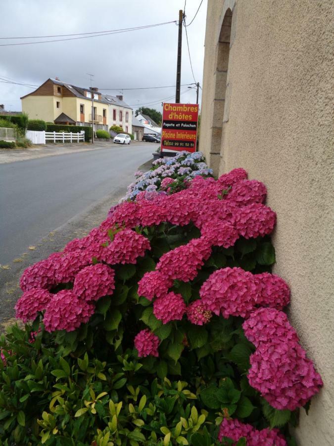 Bed and Breakfast Popote Et Polochon Saint-Martin-sur-Oust Exteriér fotografie