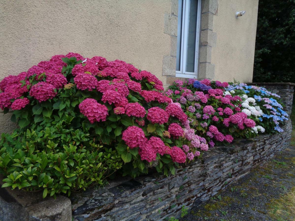 Bed and Breakfast Popote Et Polochon Saint-Martin-sur-Oust Exteriér fotografie